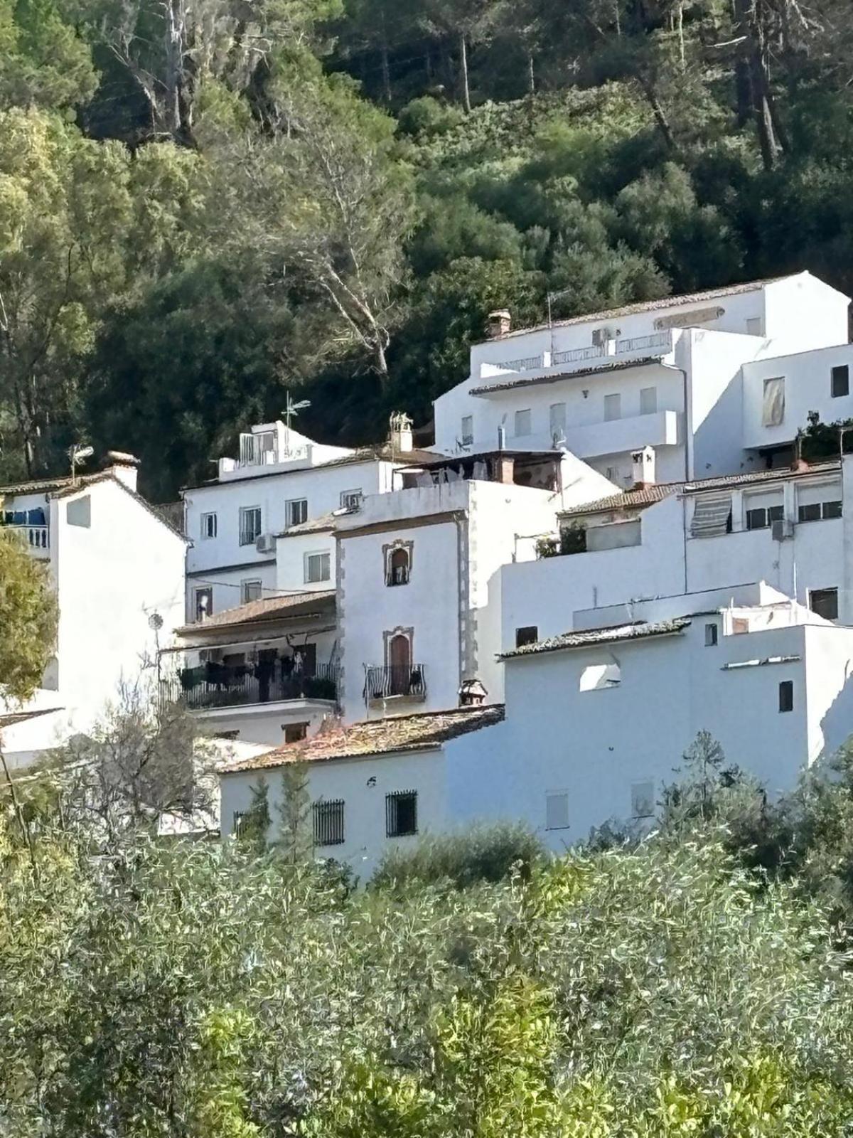 El Rincon De Las Higueras El Bosque Luaran gambar