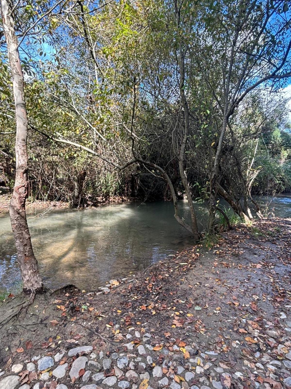 El Rincon De Las Higueras El Bosque Luaran gambar