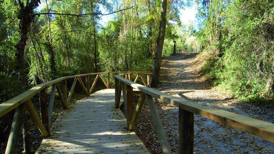 El Rincon De Las Higueras El Bosque Luaran gambar